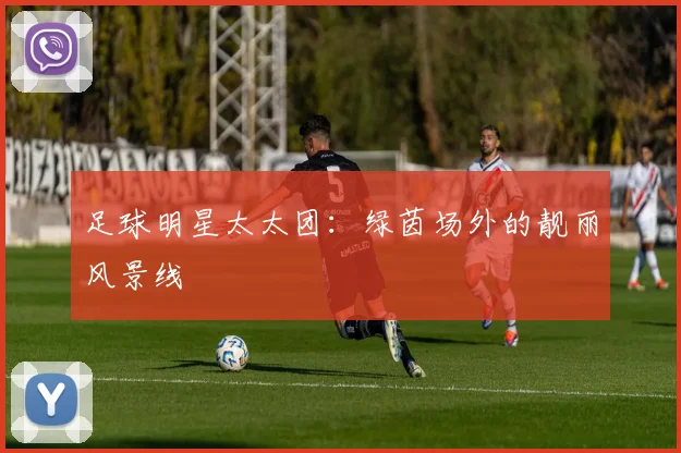 足球明星太太团：绿茵场外的靓丽风景线